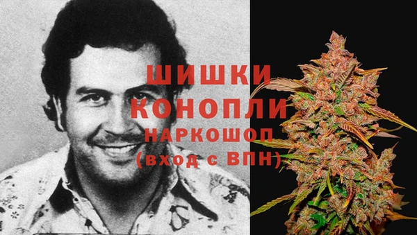 ешки Абинск