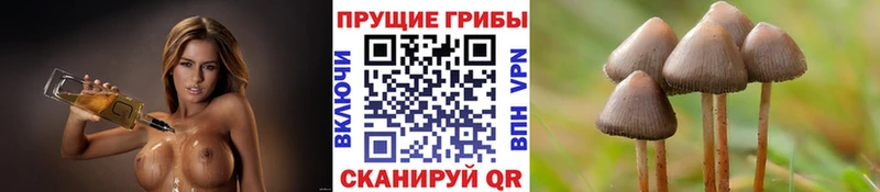 Галлюциногенные грибы мицелий  Тында 